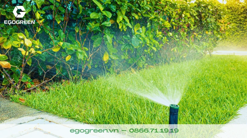 Làm sao để hệ thống thoát nước sân vườn hoạt động hiệu quả trong mùa mưa bão?